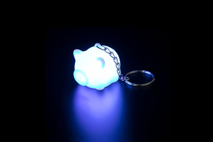 LED Keychain-Always In People's Vision