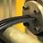 Rubber Extruder