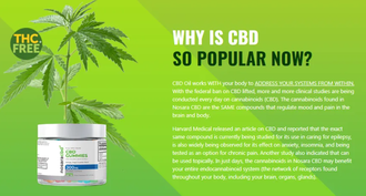 Nosara CBD Gummies Canada