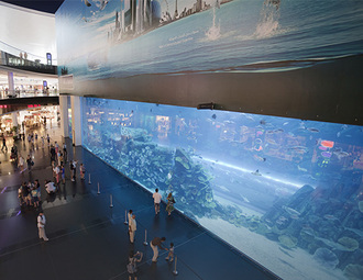 Does your acrylic fish tank pay attention to maintenance?