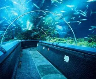 The current situation and prospects of domestic polar aquariums