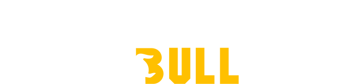 detailingbulljpr