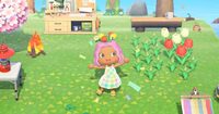 Sharareh Drury&#039;s &#039;Animal Crossing&#039; character outside her home on Isla Kiara