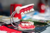 What are the 3 important qualities that dentist needs