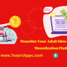 Using The Best Adult Sites Monetization Platform, You Can Make Money