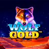 De Speciale Symbolen in Wolf Gold Uitgelegd