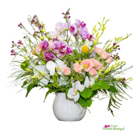 The Best Orchid Delivery Services in Miami - Natural Orchids Boutique