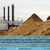 India Biomass Gasification Market 