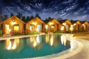 Jim Corbett Safari Exploring the Wild Beauty of India