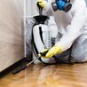 Termite Inspection Brisbane \u2013 Benefits and Process Explained