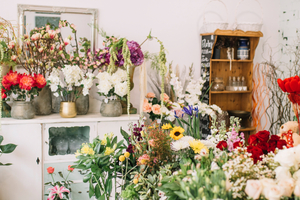 Waarom bloemen en planten kopen op bloemonline?