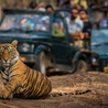 Golden triangle tour with Ranthambore by Private tour guide India Company.