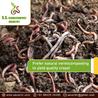 Best Vermicompost in chennai |SS Vermicompost Industry