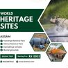 World Heritage Sites in Assam: Preserving Nature and Culture