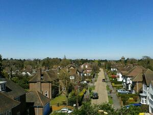 Tree Surgeon in Bedford for Complete Tree Care and Felling or Fruit Tree Pruning