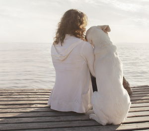 Benefits ofemotional support animal\u00a0therapy