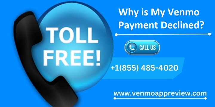 Why is My Venmo Payment Declined? Reasons & Solutions