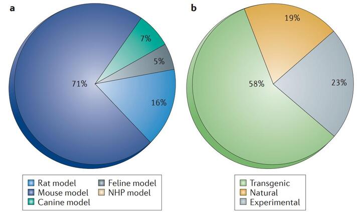 Cost-effective Animal Disease Models to Power Up Life Science Research