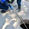 How Can Homeowners Effectively Choose The Right Sewer Installation Services in River Grove, IL?