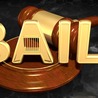 The Reasons behind the Introduction of the Bail System