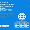 A Quick Overview of Distributed Data Structures (DDS)