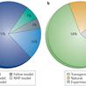 Cost-effective Animal Disease Models to Power Up Life Science Research