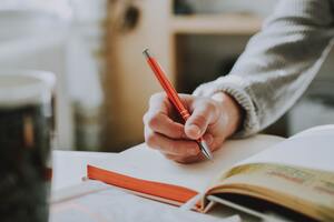 Good Number Of Reviews Before Using Professional Writer