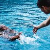 Water Park Drowning Accident Lawyers