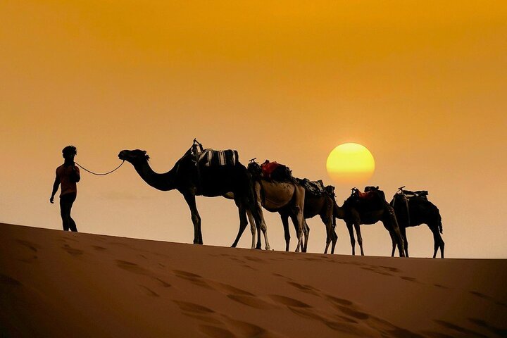 From Desert to Coast: Discover Morocco’s Finest Luxury Tour Experiences