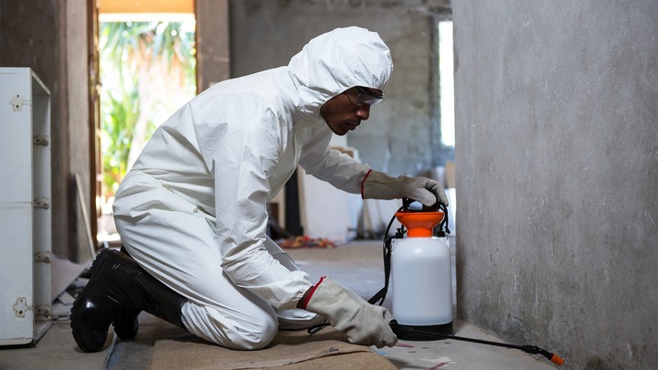 Europe Pest Control Market Size, Industry Share, Growth, Trends, Analysis & Report 2024-2032