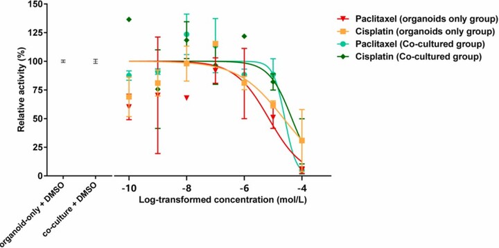 Advanced Tumor Organoid & CAF Co-culture Service to Accelerate Cancer Research