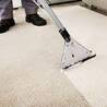 Why Professional Carpet Cleaning is Worth the Investment