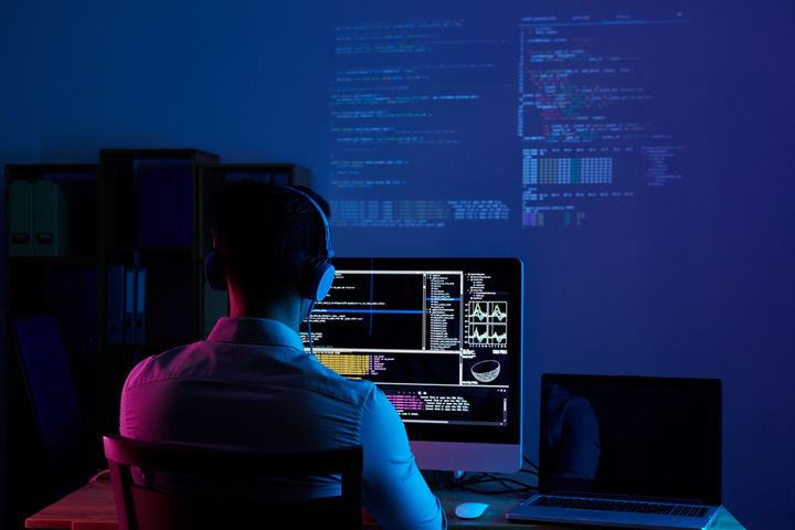Software Development: Empowering Innovation and Growth