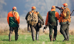 K\u00f6pa jaktvapen \u2013 B\u00e4sta tipsen inf\u00f6r ditt k\u00f6p 