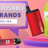 5 Best Disposable Vape Brands for 2022 USA