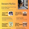What are the three types of pet insurance?