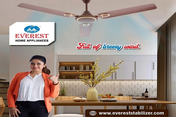 Buy Ceiling Fan Online | Buy Fan Online | Best Ceiling Fan Online | EVEREST