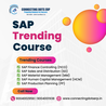 Which Is the Best SAP SD Training Institute in Pune for Your Career?