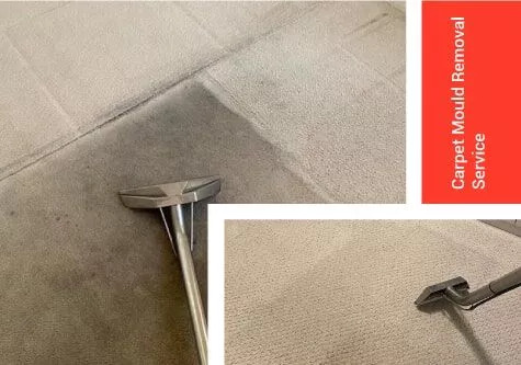 Sam's Cleaning Sydney Cleans Your Carpets Like No One Else: 5 Ways We Stand Out