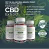 Essential CBD Gummies M\u00e9xico Precio, Opiniones, Funciona, Estafa