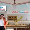 Buy Ceiling Fan Online | Buy Fan Online | Best Ceiling Fan Online | EVEREST