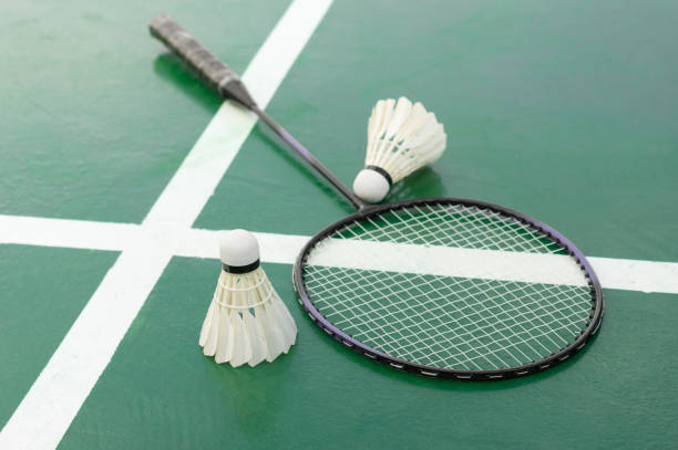 How to Choose the Best Badminton Racket for Your Game