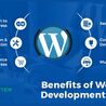 Overview of WordPress Development Services: A Beginner&#039;s Guide 2024