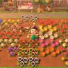 Animal Crossing: The 5 Hardest Flowers to Crossbreed