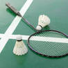 How to Choose the Best Badminton Racket for Your Game