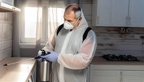 How to Keep Your Home Pest-Free in New York City