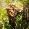 Stump Grinding Sydney