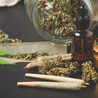 Navigating the Wellness Revolution: How Cannabis London is Rewriting the Self-Care Script 