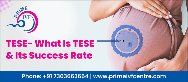 Tese success rate | Prime IVF Centre