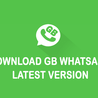 GB WhatsApp Features